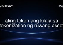 aling token ang kilala sa tokenization ng ruwang asset