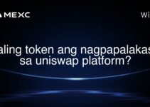 aling token ang nagpapalakas sa uniswap platform?