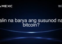 alin na barya ang susunod na bitcoin?