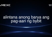 alintana anong barya ang pag-aari ng bybit