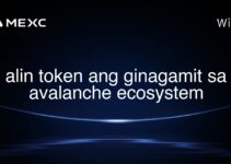 alin token ang ginagamit sa avalanche ecosystem
