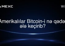 Amerikalılar Bitcoin-i nə qədər ələ keçirib?