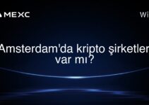 Amsterdam’da kripto şirketleri var mı?