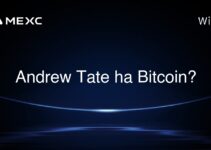Andrew Tate ha Bitcoin?