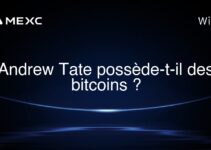 Andrew Tate possède-t-il des bitcoins ?