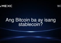 Ang Bitcoin ba ay isang stablecoin?