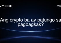 Ang crypto ba ay patungo sa pagbagsak?