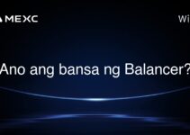 Ano ang bansa ng Balancer?