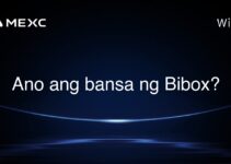 Ano ang bansa ng Bibox?