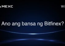 Ano ang bansa ng Bitfinex?