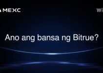 Ano ang bansa ng Bitrue?