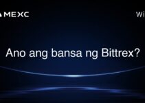 Ano ang bansa ng Bittrex?