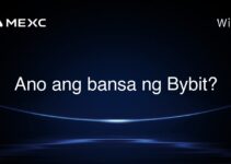 Ano ang bansa ng Bybit?