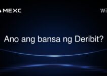 Ano ang bansa ng Deribit?