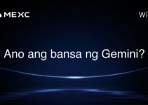 Ano ang bansa ng Gemini?