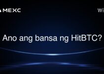 Ano ang bansa ng HitBTC?