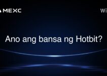 Ano ang bansa ng Hotbit?