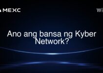 Ano ang bansa ng Kyber Network?