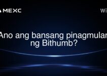 Ano ang bansang pinagmulan ng Bithumb?