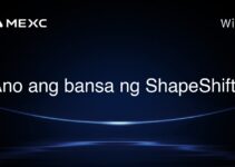 Ano ang bansa ng ShapeShift?