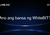 Ano ang bansa ng WhiteBIT?