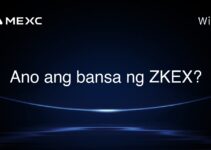 Ano ang bansa ng ZKEX?
