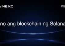 Ano ang blockchain ng Solana?