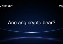 Ano ang crypto bear?