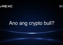 Ano ang crypto bull?