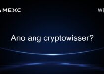 Ano ang cryptowisser?