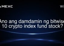 Ano ang damdamin ng bitwise 10 crypto index fund stock?