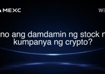 Ano ang damdamin ng stock ng kumpanya ng crypto?