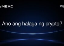 Ano ang halaga ng crypto?