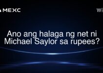 Ano ang halaga ng net ni Michael Saylor sa rupees?