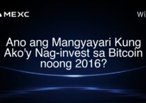 Ano ang Mangyayari Kung Ako’y Nag-invest sa Bitcoin noong 2016?