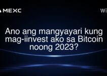 Ano ang mangyayari kung mag-iinvest ako sa Bitcoin noong 2023?