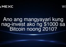 Ano ang mangyayari kung nag-invest ako ng $1000 sa Bitcoin noong 2010?