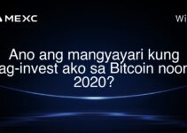 Ano ang mangyayari kung nag-invest ako sa Bitcoin noong 2020?