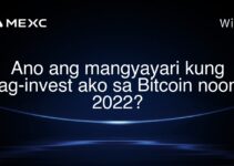 Ano ang mangyayari kung nag-invest ako sa Bitcoin noong 2022?