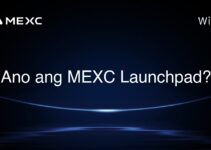 Ano ang MEXC Launchpad?