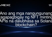 Ano ang mga nangungunang tagapagbigay ng NFT minting APIs na dalubhasa sa Solana blockchain?