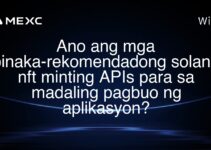 Ano ang mga pinaka-rekomendadong solana nft minting APIs para sa madaling pagbuo ng aplikasyon?