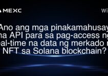 Ano ang mga pinakamahusay na API para sa pag-access ng real-time na data ng merkado ng NFT sa Solana blockchain?
