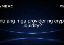 Ano ang mga provider ng crypto liquidity?