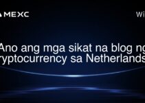 Ano ang mga sikat na blog ng cryptocurrency sa Netherlands?