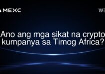 Ano ang mga sikat na crypto kumpanya sa Timog Africa?