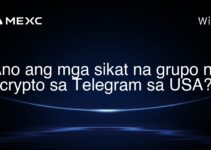 Ano ang mga sikat na grupo ng crypto sa Telegram sa USA?