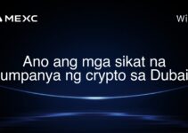 Ano ang mga sikat na kumpanya ng crypto sa Dubai?