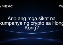 Ano ang mga sikat na kumpanya ng crypto sa Hong Kong?