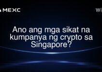 Ano ang mga sikat na kumpanya ng crypto sa Singapore?